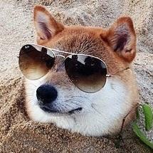 Load image into Gallery viewer, LED High Tops